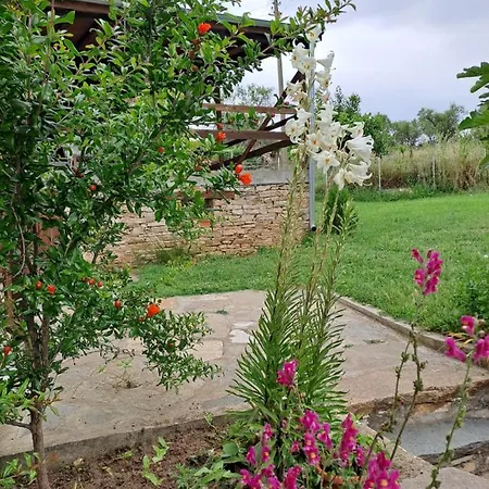 Casa Vendégház Lambuh